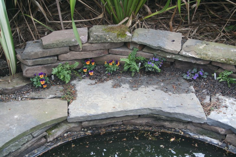 2017-03-28 18.42.31.jpg