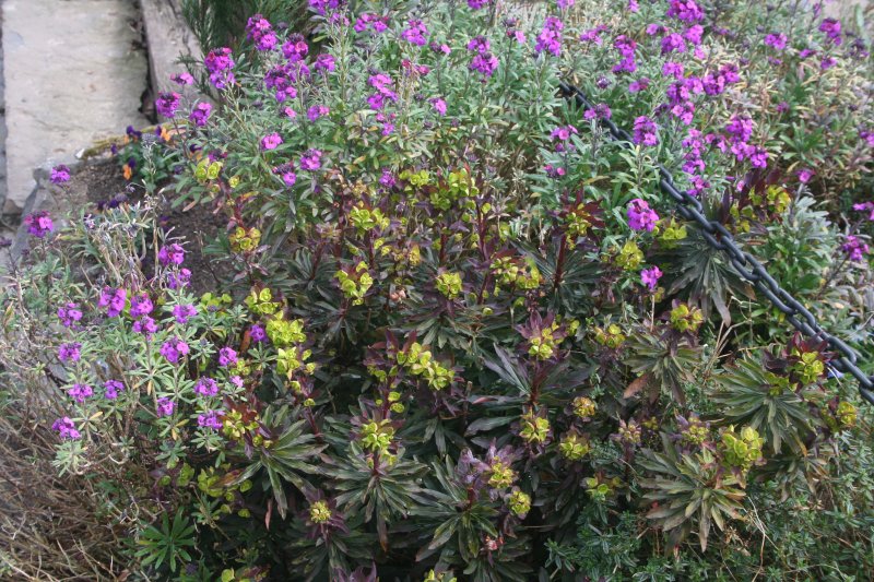 2017-03-28 18.47.00.jpg