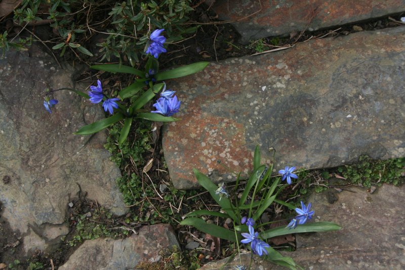 2017-03-28 18.47.24.jpg