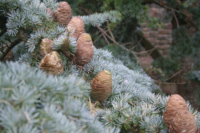 2017-03-28 19.00.36.jpg