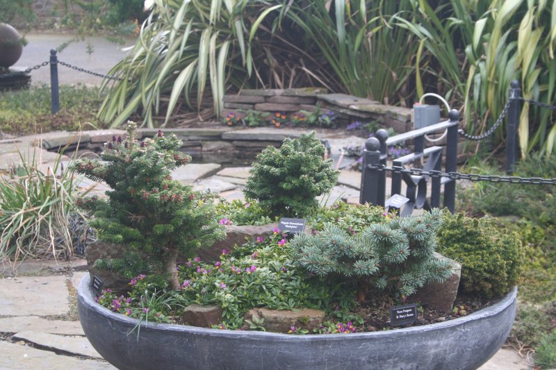 2017-03-28 19.03.43.jpg