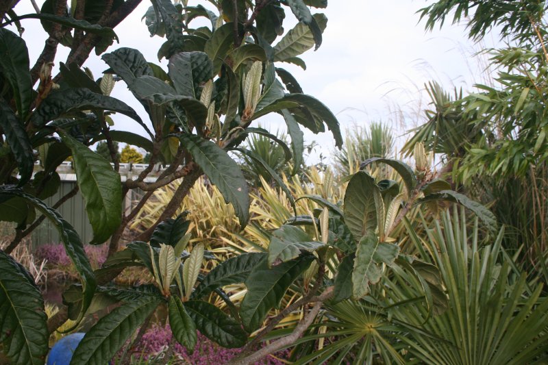 2017-03-28 19.15.43.jpg