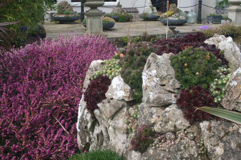 2017-03-28 19.16.27.jpg