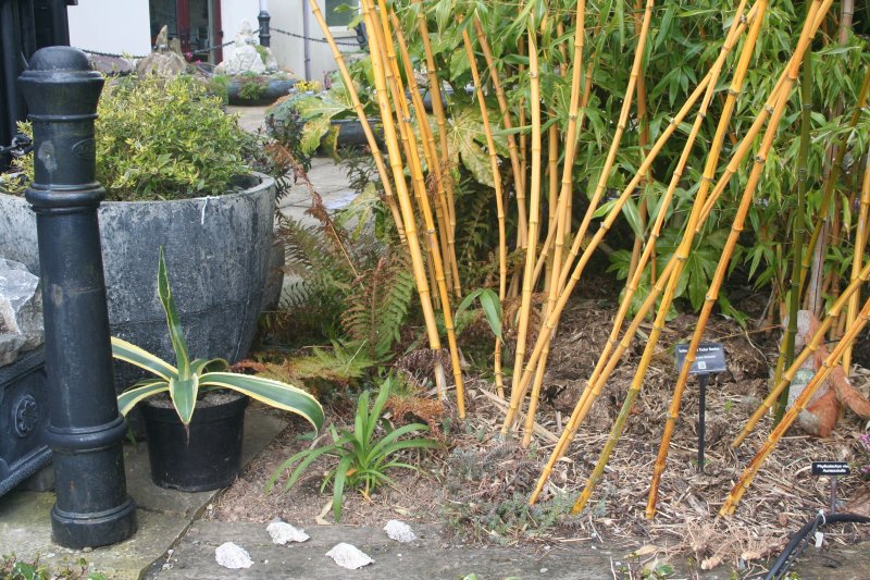 2017-03-28 19.17.10.jpg