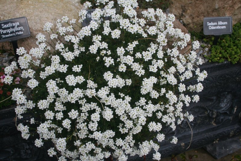 2017-03-28 19.17.33.jpg