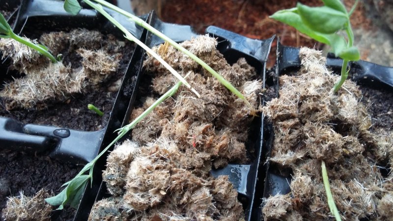 2017-04-01 18.39.41.jpg