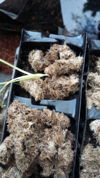 2017-04-01 18.48.18.jpg