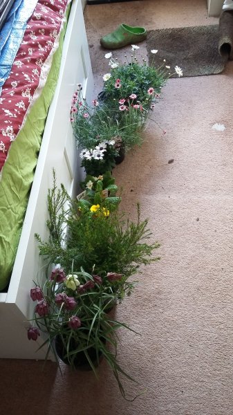 2017-04-02 14.48.08.jpg