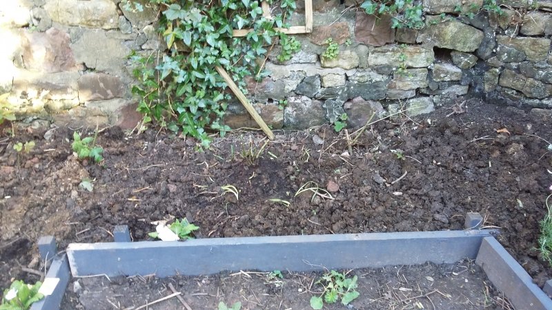 2017-04-02 17.46.38.jpg