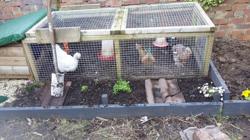 2017-04-02 17.46.52.jpg