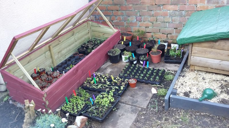 2017-04-02 17.47.05.jpg