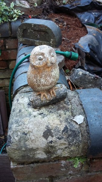 2017-04-02 18.00.41.jpg