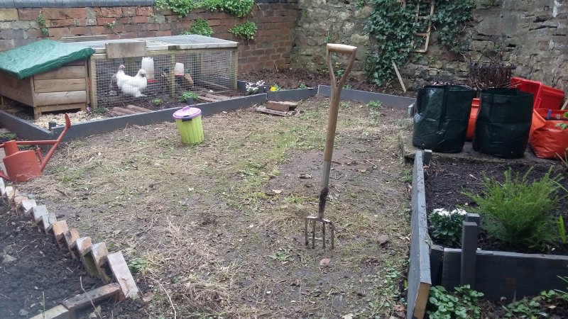 2017-04-04 11.00.52.jpg