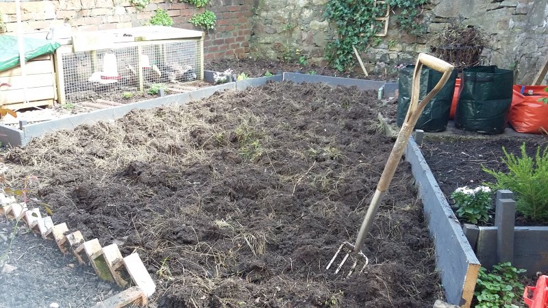 2017-04-04 13.32.42.jpg