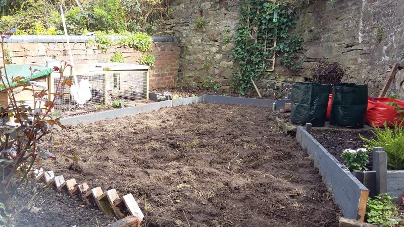 2017-04-04 14.29.54.jpg