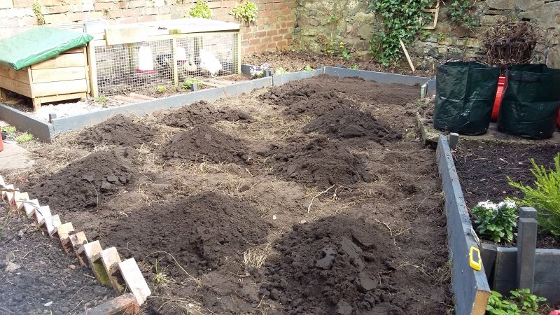 2017-04-04 14.46.01.jpg