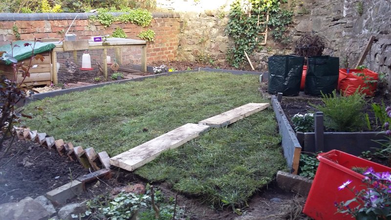 2017-04-04 18.01.04.jpg