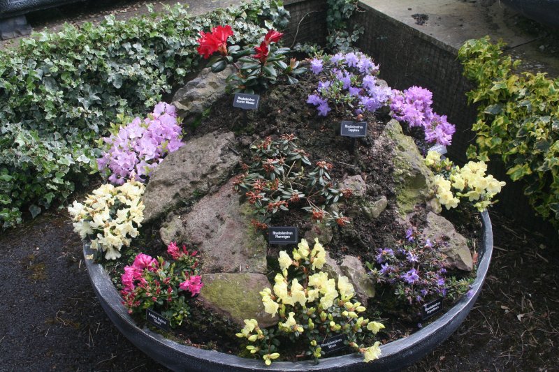 2017-04-13 20.14.37.jpg