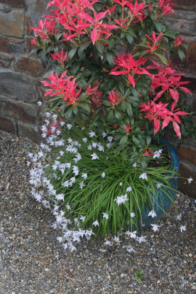 2017-04-13 20.25.12.jpg