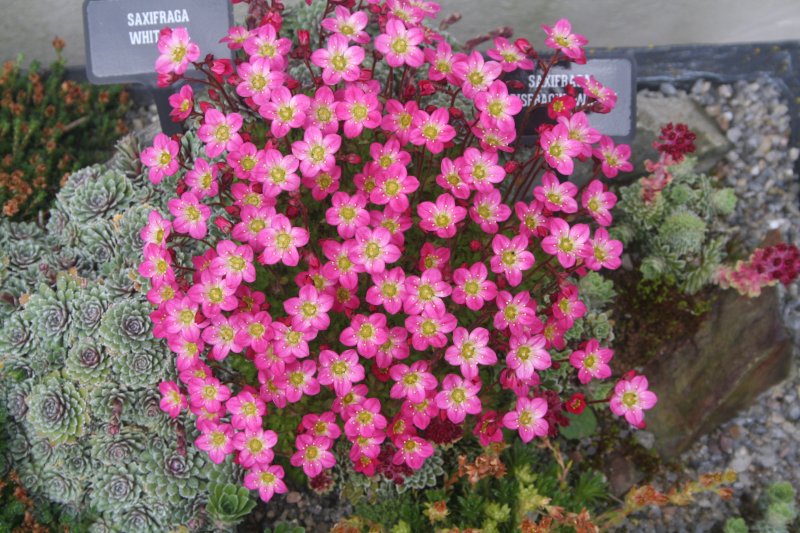 2017-04-13 20.26.32.jpg