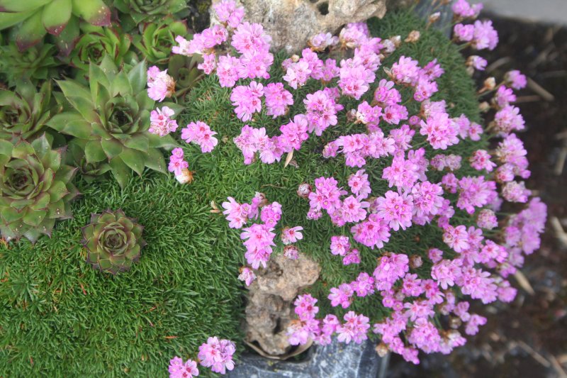 2017-04-13 20.26.53.jpg