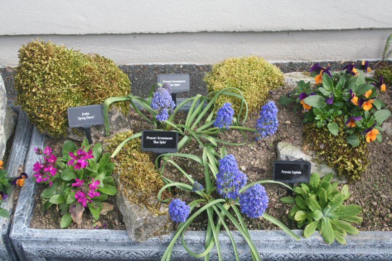 2017-04-13 20.27.30.jpg