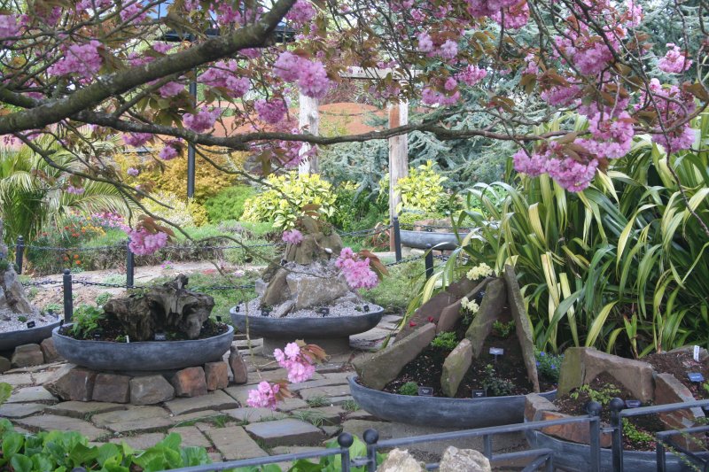 2017-04-13 20.35.36.jpg