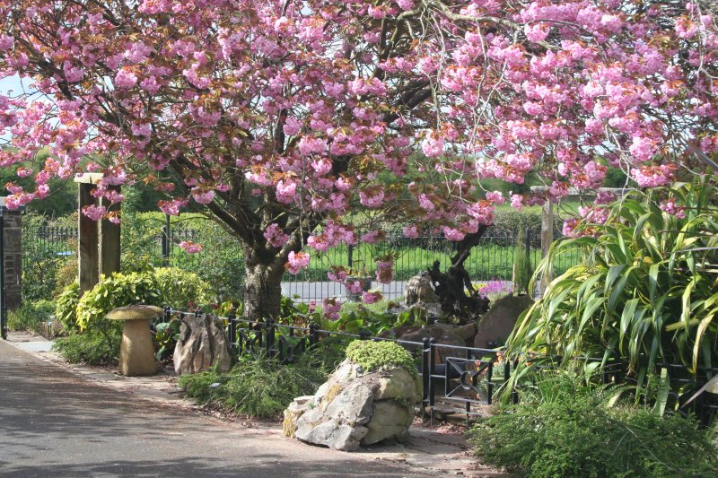 2017-04-13 20.36.09.jpg