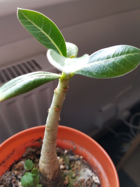 2017-04-14 17.01.55.jpg