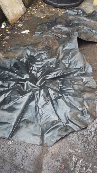 2017-04-16 18.15.36.jpg