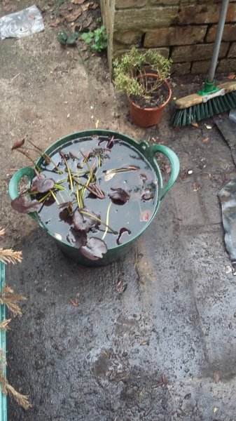 2017-04-16 18.15.38.jpg