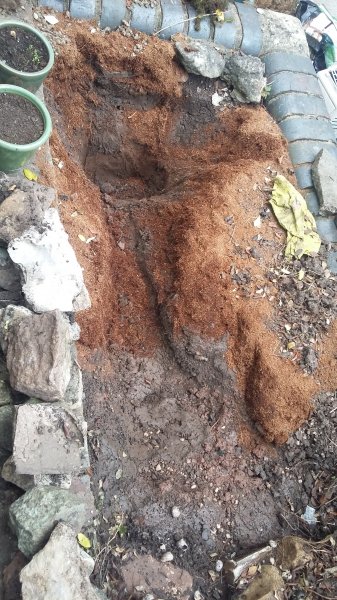 2017-04-16 18.15.51.jpg