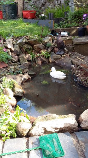 2017-04-23 15.41.52.jpg