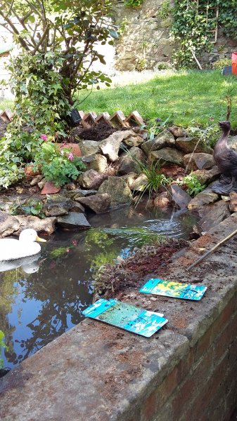 2017-04-23 15.42.17.jpg