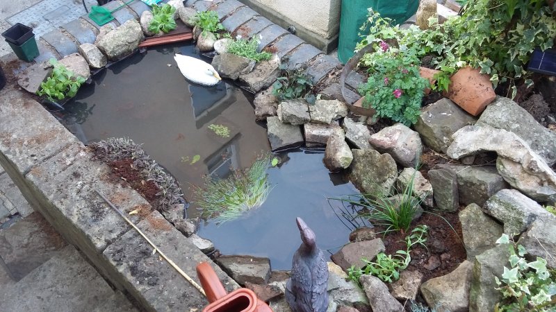 2017-04-23 17.38.51.jpg