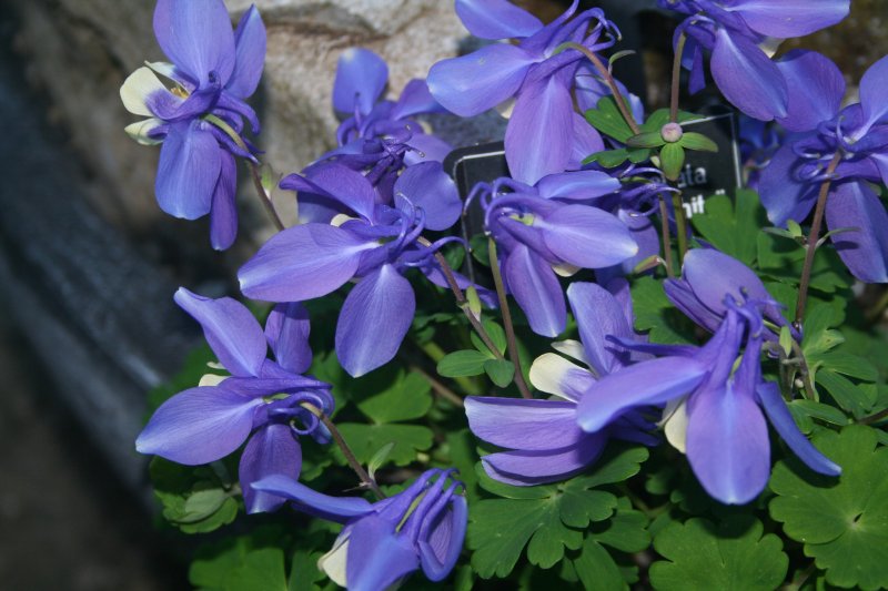 2017-05-04 01.54.19.jpg