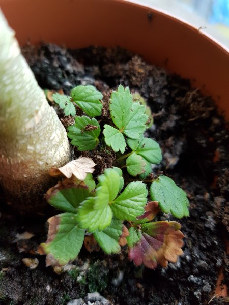 2017-05-13 15.42.11.jpg