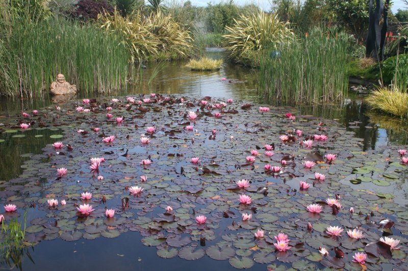 2017-05-30 20.31.36.jpg