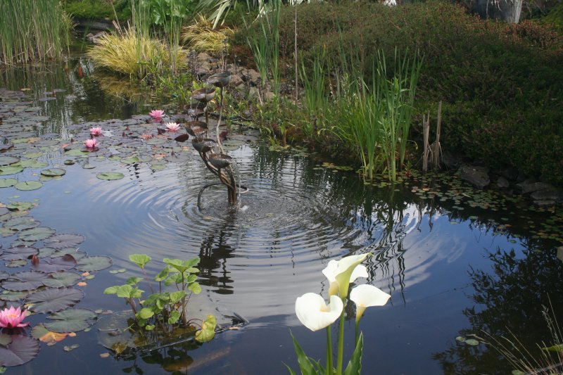 2017-05-30 20.31.54.jpg