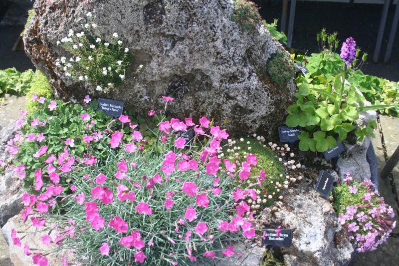 2017-05-30 20.32.34.jpg