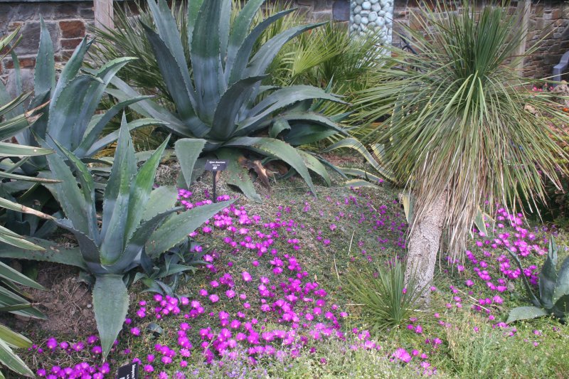 2017-05-30 20.33.22.jpg