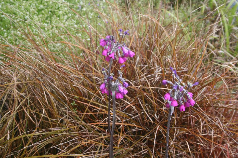 2017-05-30 20.33.39.jpg