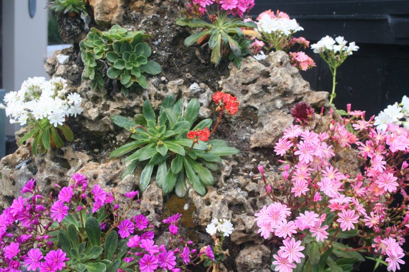 2017-05-30 20.34.27.jpg