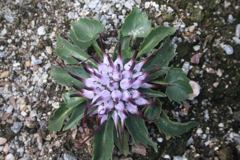 2017-05-30 20.34.51.jpg