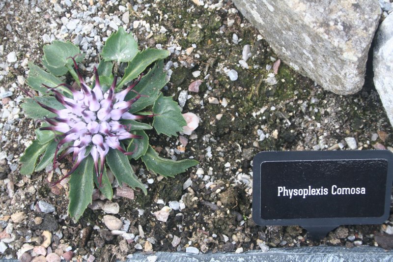 2017-05-30 20.35.12.jpg