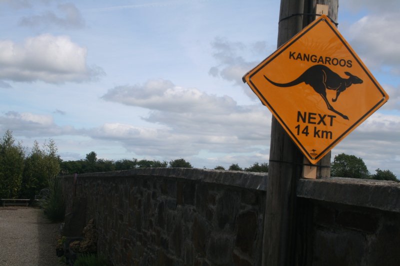 2017-05-30 20.35.57.jpg