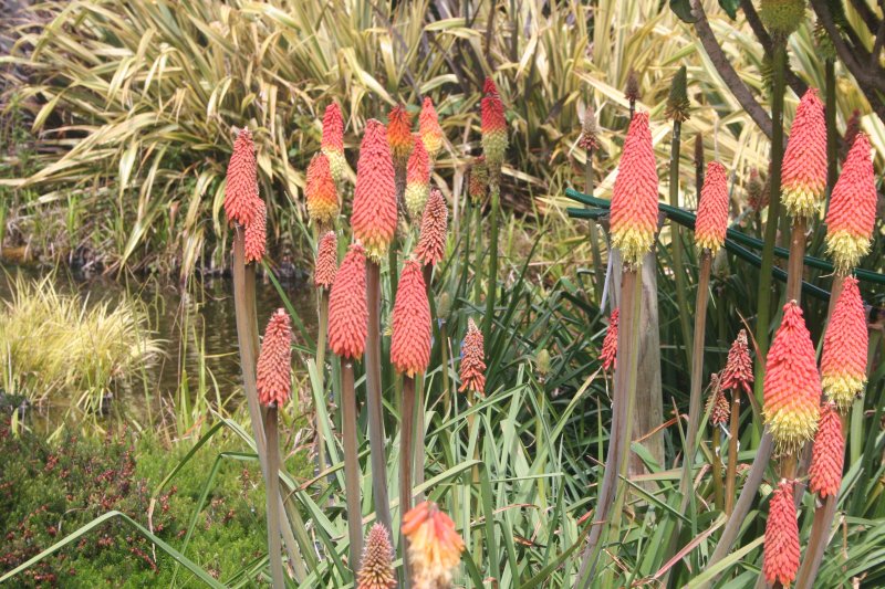 2017-05-30 20.36.38.jpg