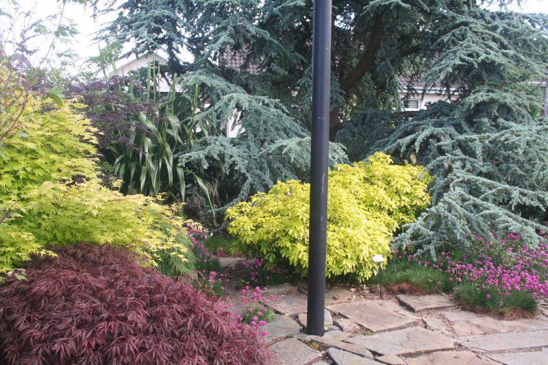 2017-05-30 20.43.19.jpg