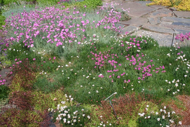 2017-05-30 20.45.29.jpg