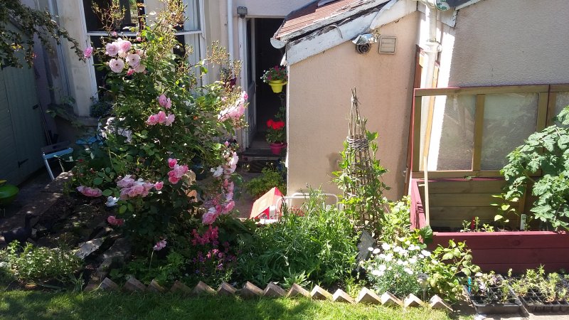 2017-06-13 15.20.08.jpg